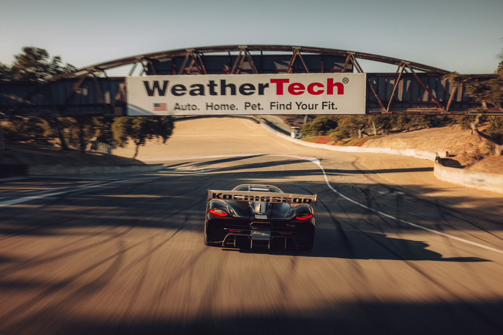 SMALL_81a774e5a987b299_org